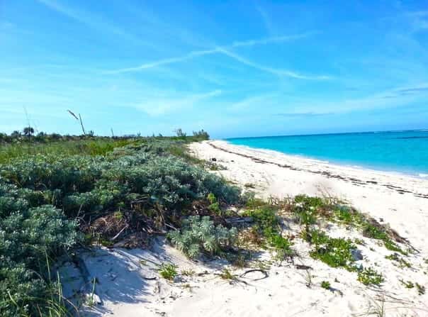 CAMPERDOWN BEACH unit: E79a, Cat Island, Cat Island