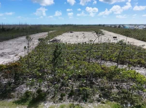 TRANQUILITY W, New Providence/Paradise Island, New Providence/Paradise Island