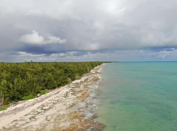 S ANDROS, WATERFRONT, Andros, Central Andros