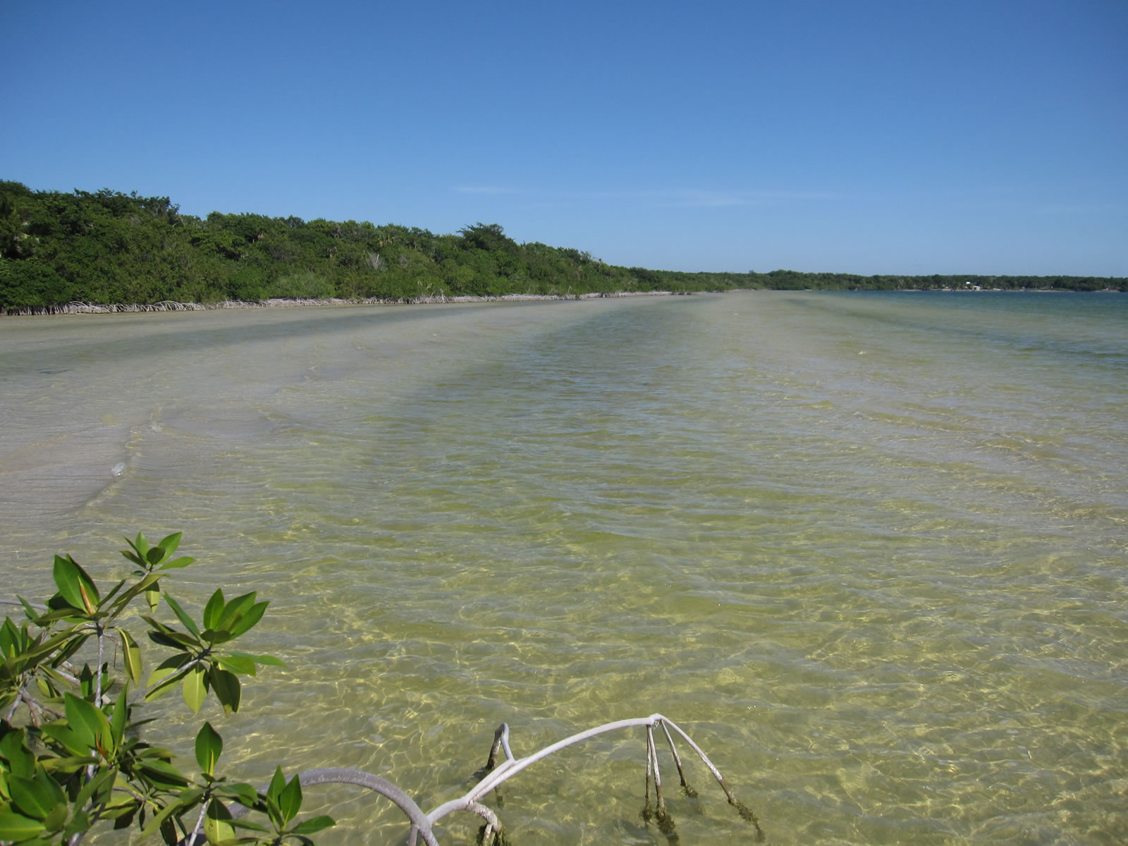 969.86 Acre Beachfront Development Opportunity for Sale, Corozal Bay, Belize