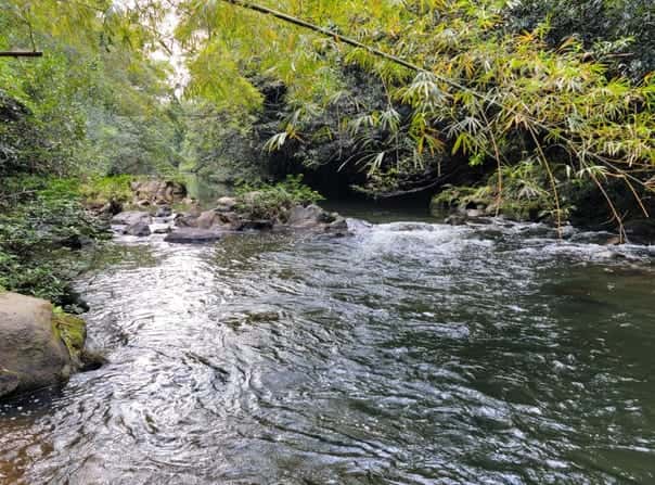 Off the Coastal Highway, Mullins River, Stann Creek District, Mullins River, Stann Creek District