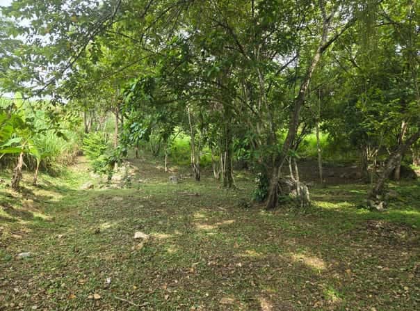Roaring Creek, Roaring Creek, Cayo District, Roaring Creek, Cayo District