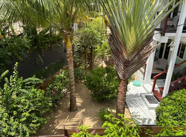 placencia street, Placencia, Stann Creek District, Placencia, Stann Creek District