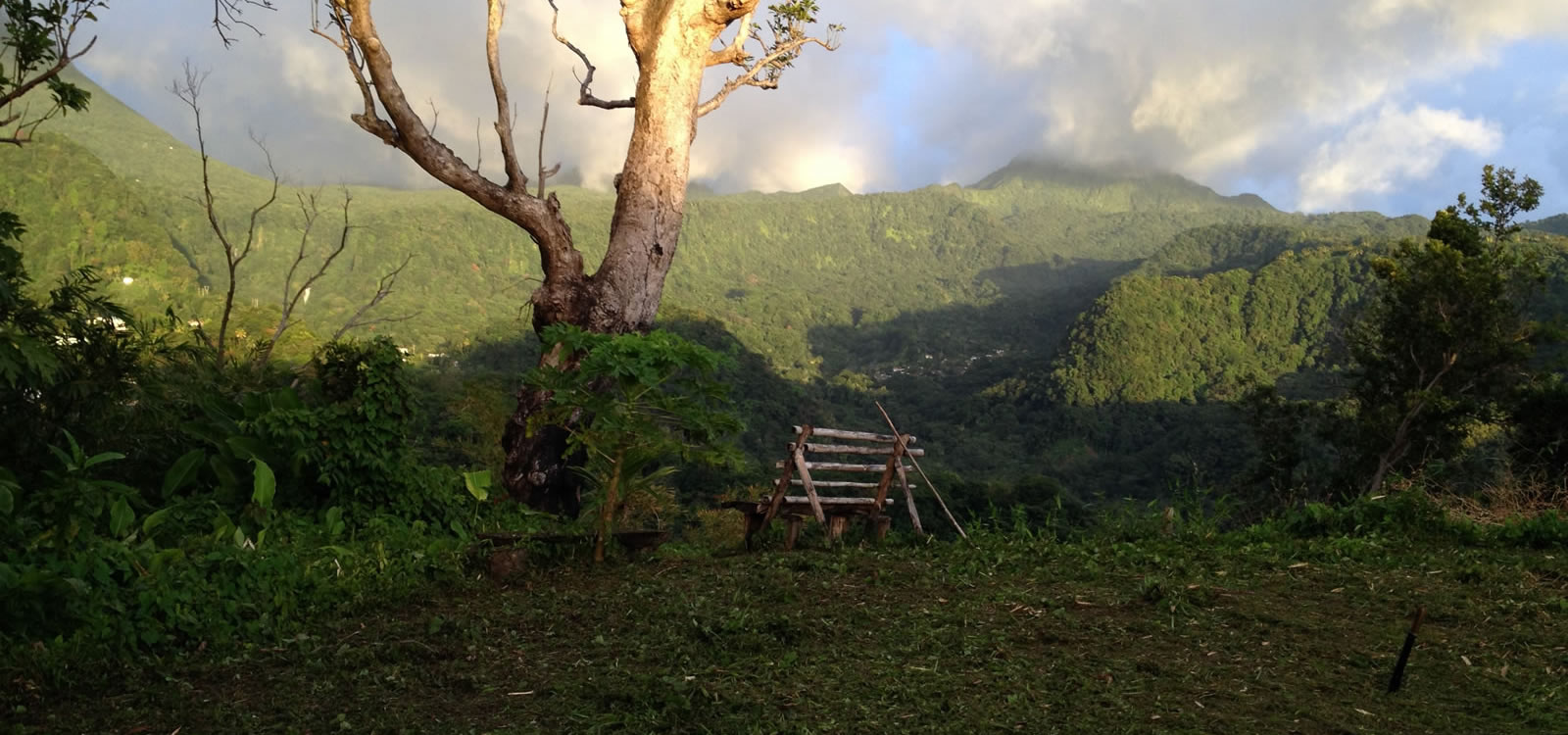 126 Acres of Land for Sale, Dominica