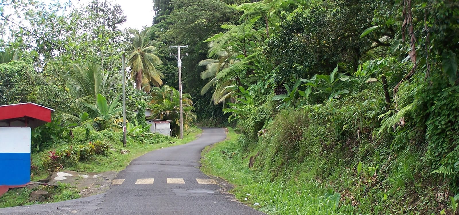 33 Acres of Farm Land for Sale, Central Dominica