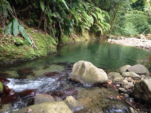 35 Acres of Land for Sale, Dominica