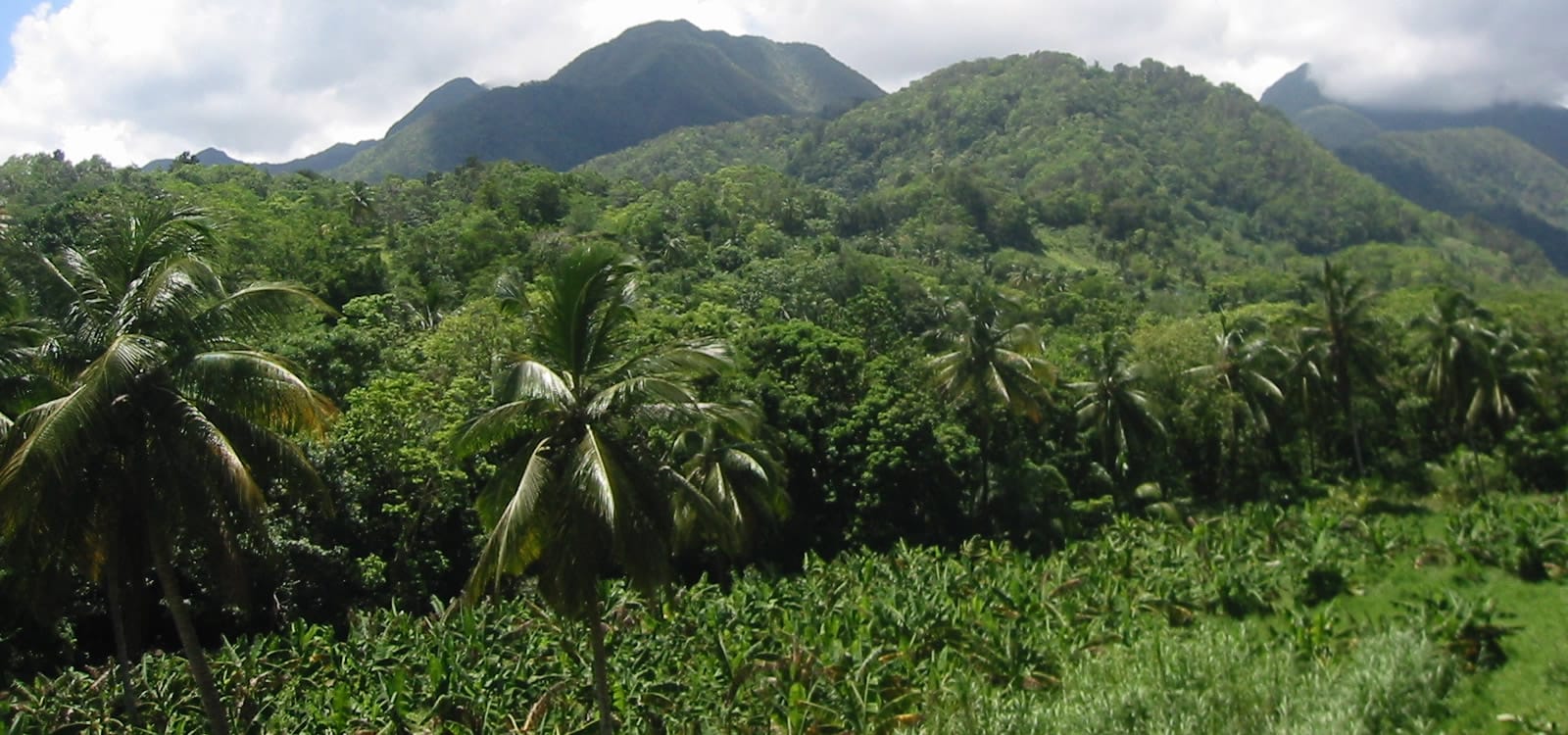 Lots of Land for Sale in Boutique Eco Resort, La Plaine, Dominica