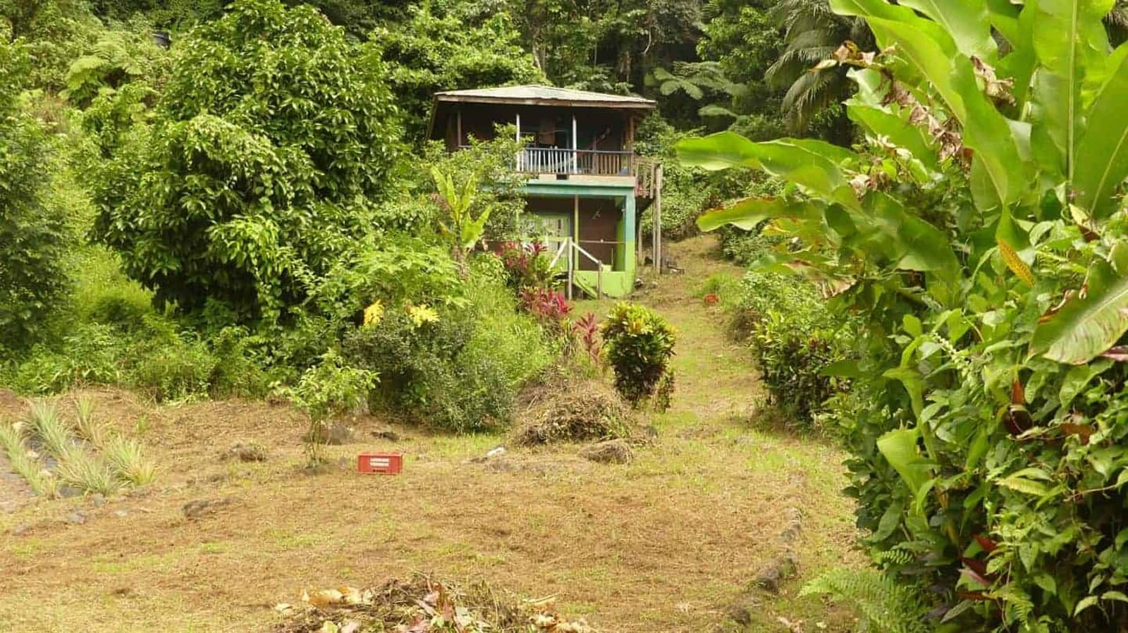 4.77 Acre Off-Grid Eco-Lodge for Sale, Rosalie, Dominica
