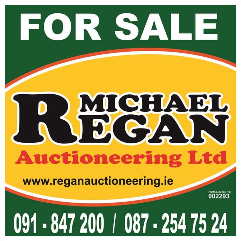 Caraun More, New Inn, Ballinasloe, Galway