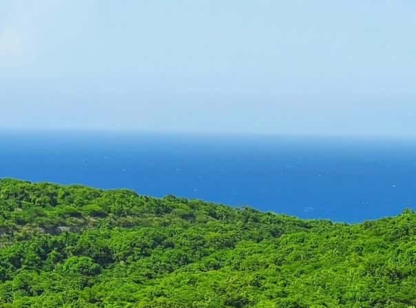 Tamarind Ridge, Duncans, Trelawny, Duncans, Trelawny Parish