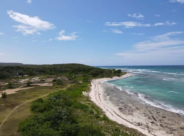THE DOLPHIN lot: 180, Duncans, Trelawny Parish