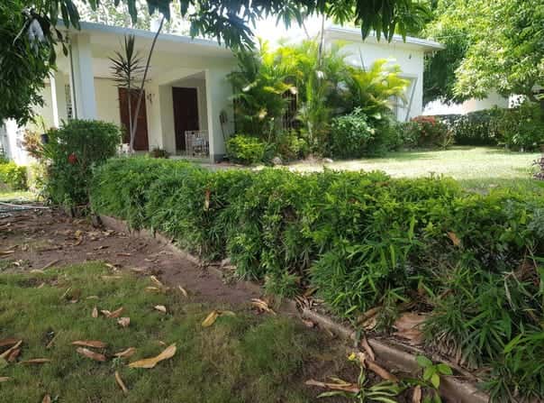 16 ARMON JONES CRESCENT, Kingston 6, St. Andrew Parish