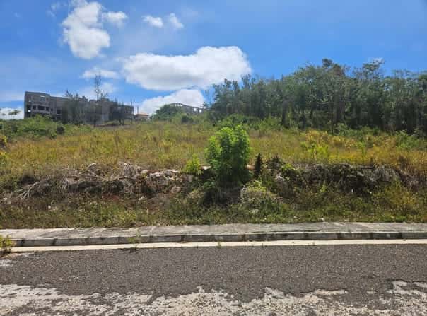 POTSDAM lot: 13, Malvern, St. Elizabeth Parish