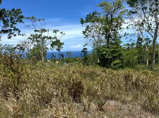 1 & 2 EDGE HILL, Mango Valley, St. Mary Parish