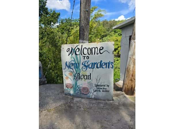 BLUE MOUNTAIN, NEW GARDENS, Stony Hill P.O., Hanover Parish