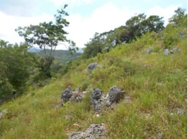 RURAL RETREAT lot: 32, Claremont, St. Ann Parish
