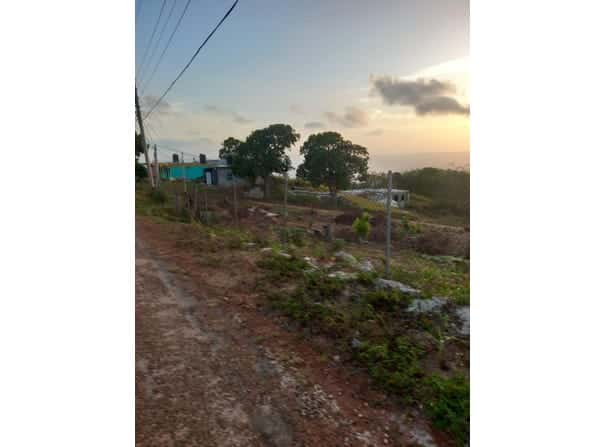 Heathfield ROSEHALL, ST ELIZABETH, Junction, St. Elizabeth Parish