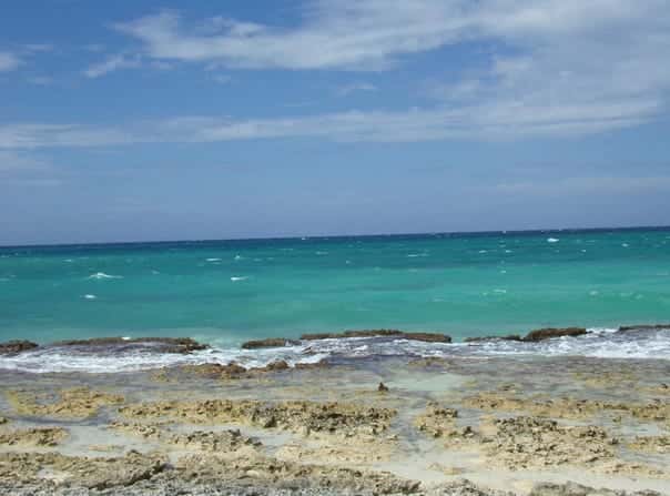 THE DOLPHIN lot: 179, Duncans, Trelawny Parish