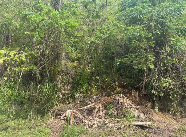 25 STONY VALLEY, STONY HILL, Stony Hill P.O., St. Andrew Parish