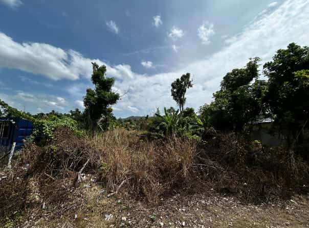 WILLIAMSFIELD, Siloah, St. Elizabeth Parish