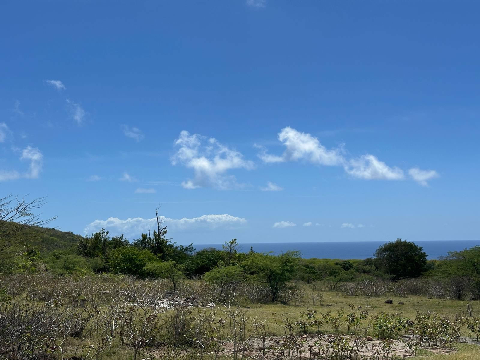 1 Acre Lot for Sale, Busch Hill, Nevis