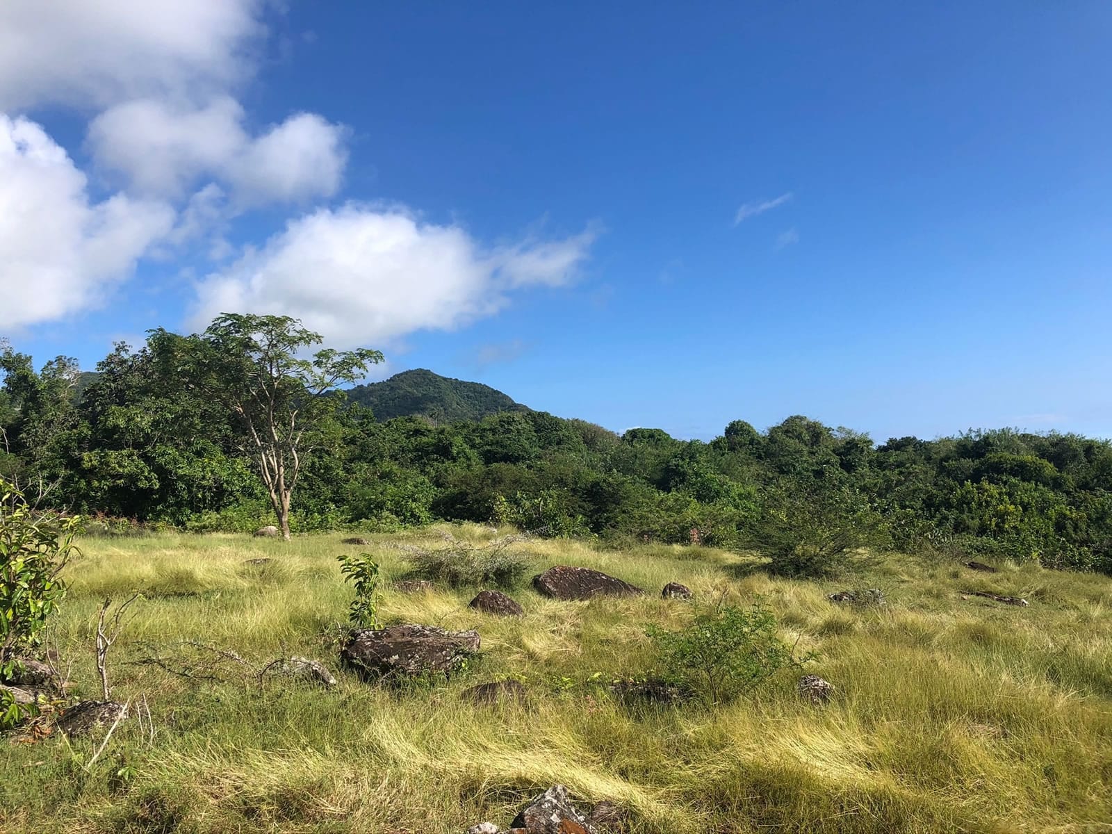 14 Acres of Land for Sale, Gingerland, Nevis