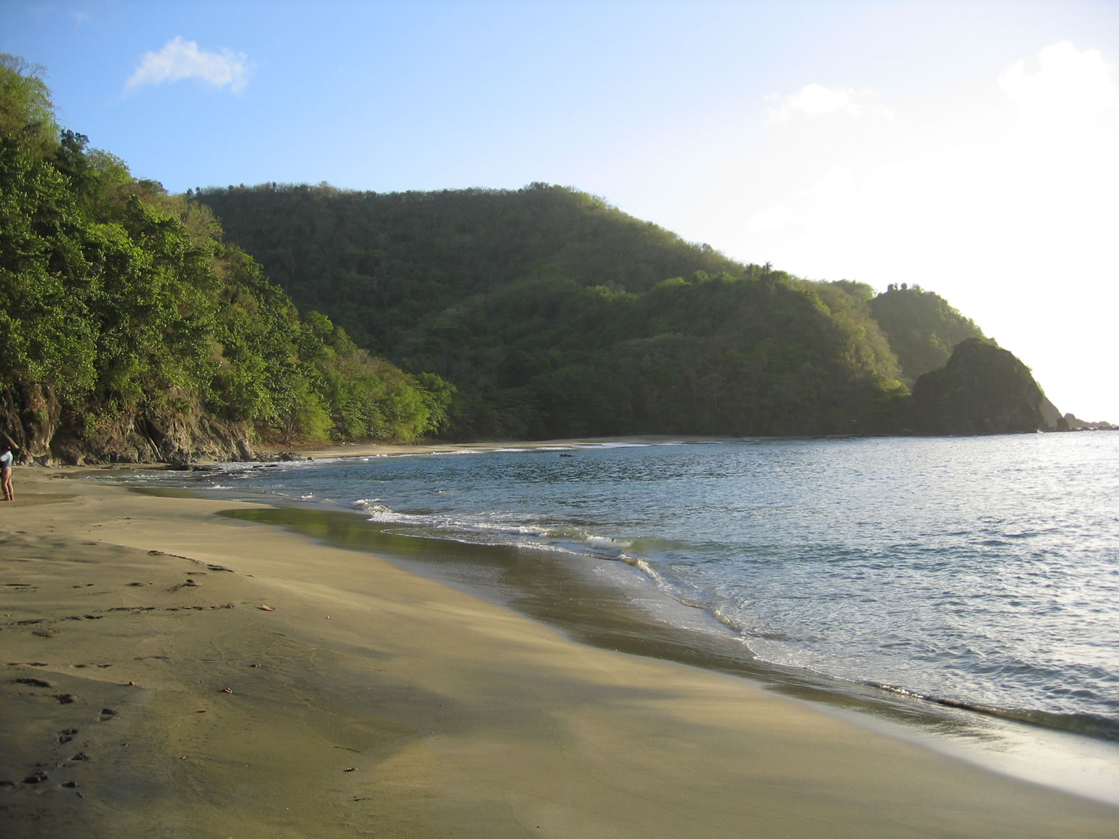 100 Acres of Land for Sale, Cotton Bay, Tobago