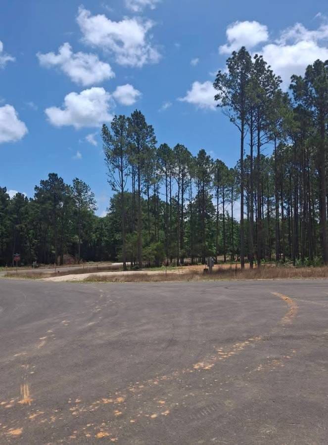 5 bedroom Mobile home doublewide on land in Conroe