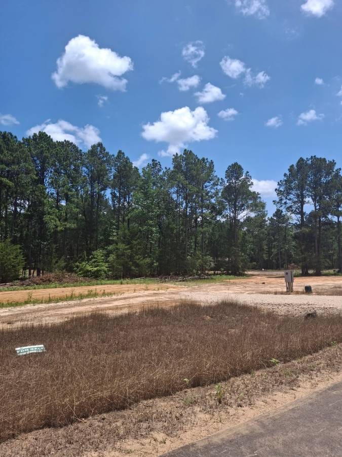 5 bedroom Mobile home doublewide on land in Conroe