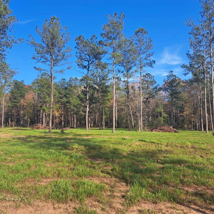 1/3 acre and 3 bedroom Mobile home singlewide near Huntsville
