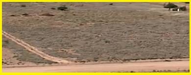 Looking for Affordable Land