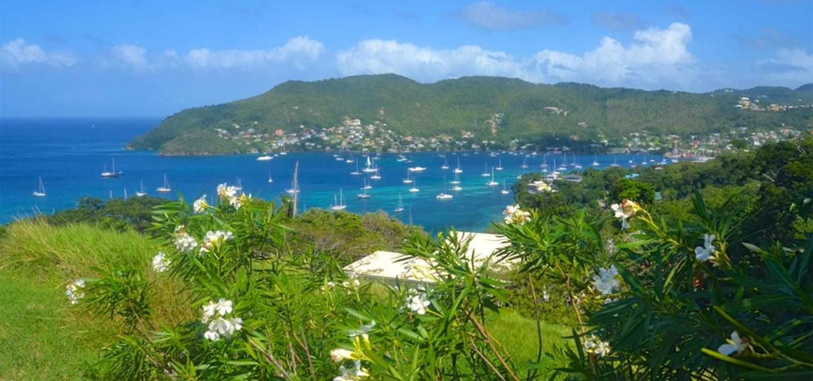 2.06 Acre Estate with 2 Bedroom Home and 1 Bedroom Cottage for Sale, Lower Bay, Bequia
